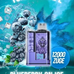 Blueberry on ice