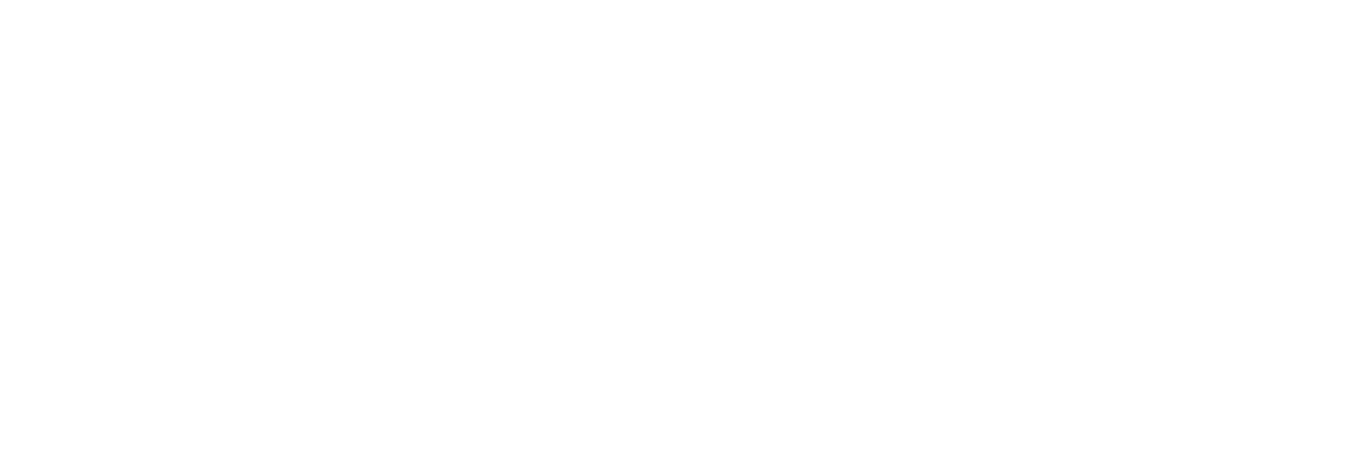 ZugFever